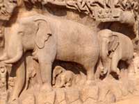 arjuna penance in Mahapalipuram Tamil Nadu